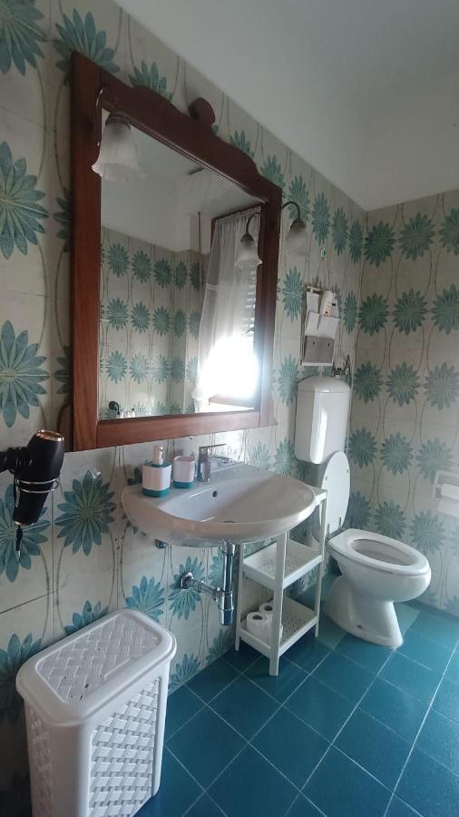 B&B L'Orchidea Pisa Kültér fotó